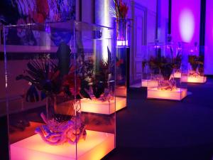 Visual Cube Stehkube 0